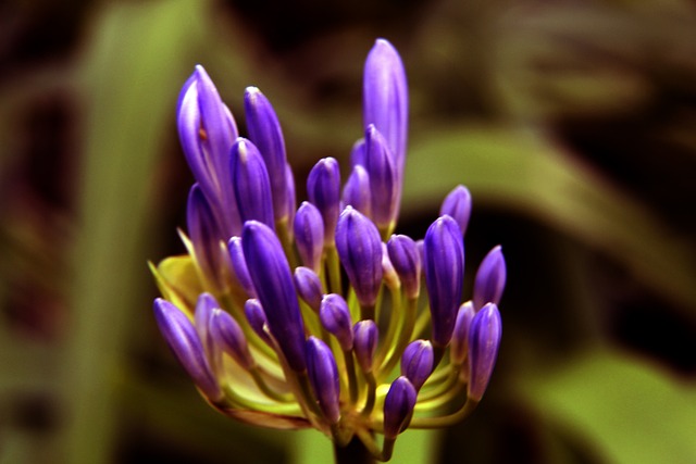 2022卡塔爾世界杯央視轉播計劃.