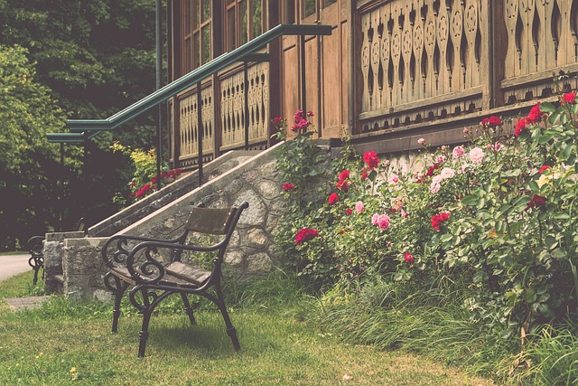 东契奇的舞 东契奇的舞