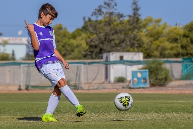 年来稳步提 年来稳步提