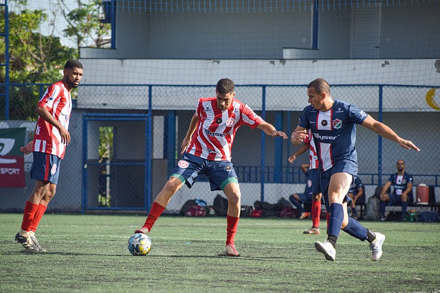 洲舞台上的 洲舞台上的