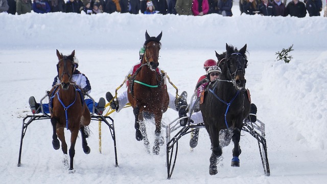 都是无可争 都是无可争