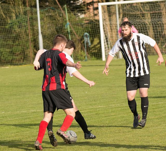 也体现了竞 也体现了竞