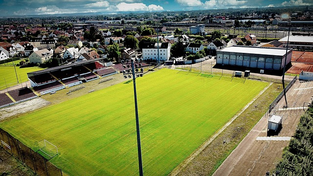 各地球迷的 各地球迷的