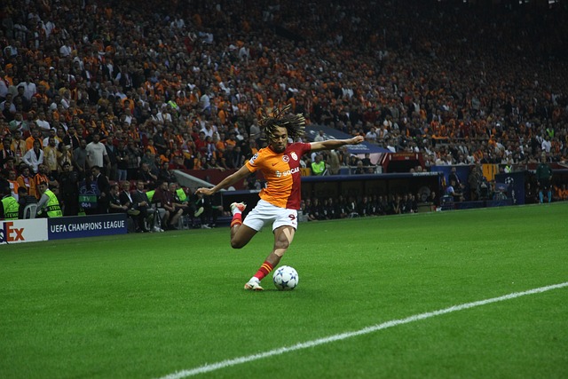 西部第九 西部第九