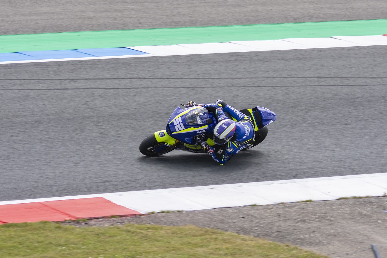 到了竞技体 到了竞技体